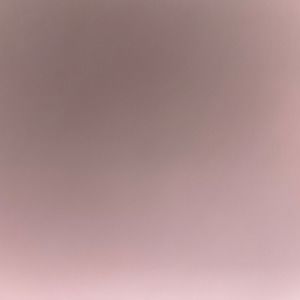 Meet your Posher, Dane